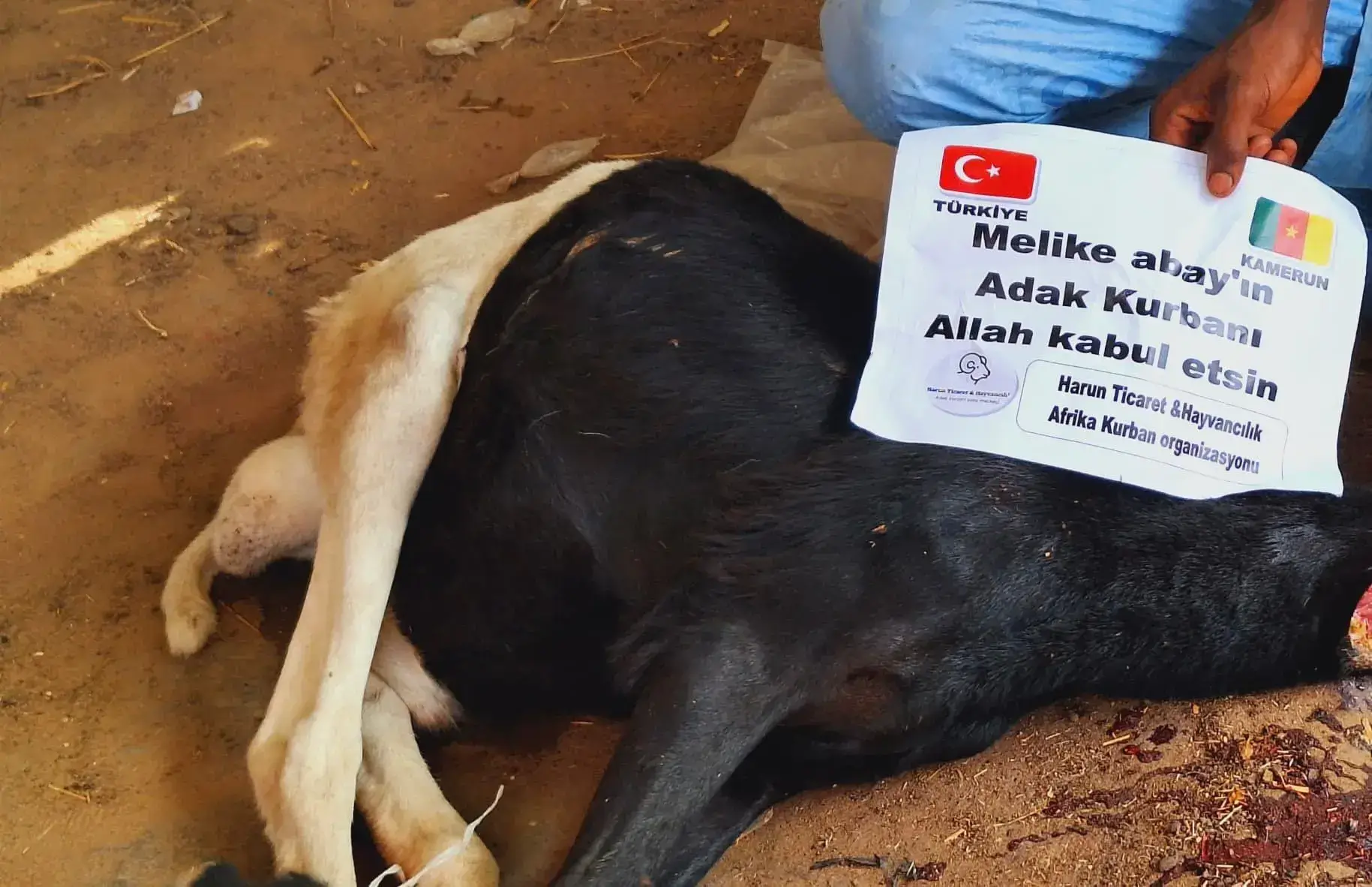 Makbuzlu teslim